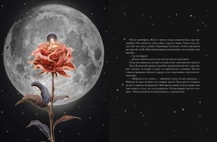 Маленький принц фото книги 2