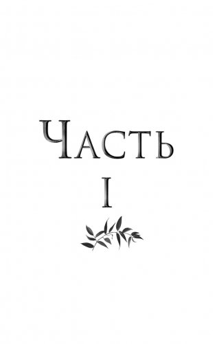 Железный рыцарь (#4) фото книги 8