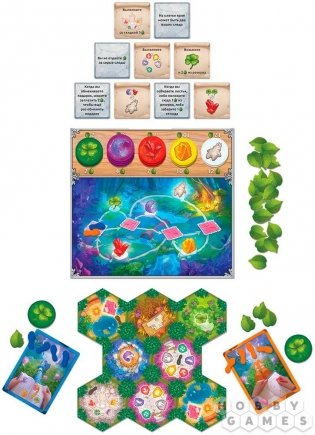 Лесные тайны фото книги 4