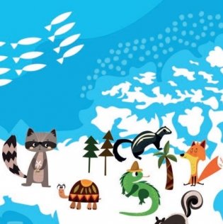 Мир животных для малышей в карточках фото книги 5