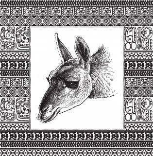 Ламы. No drama. Color lama. Раскраска-антистресс для творчества и вдохновения фото книги 6