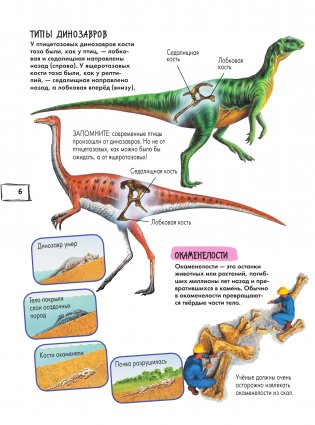 Динозавры фото книги 2