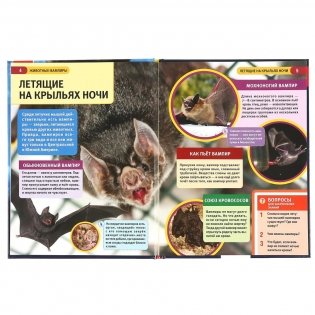 Животные-вампиры фото книги 3