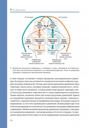 Нейроатлетика для оптимизации силовых тренировок: сила зарождается в мозге фото книги 13
