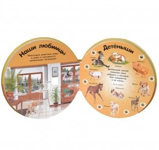 Животные в деревне фото книги 2