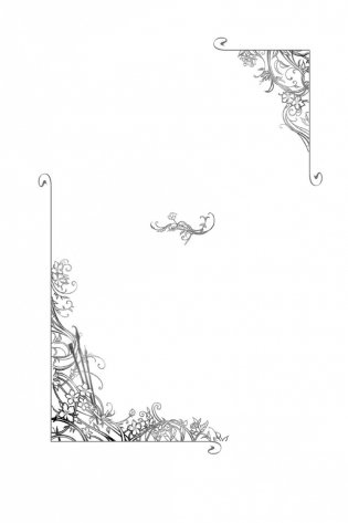 Королевство стужи и звездного света фото книги 23