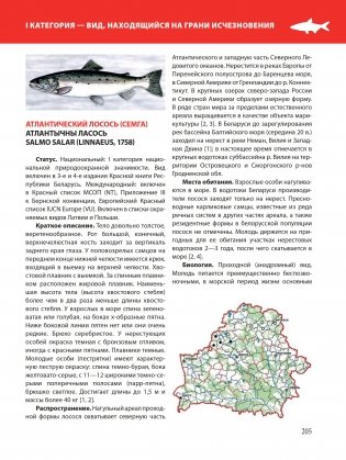 Красная книга Республики Беларусь. Животные фото книги 11