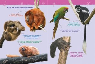 Джунгли. Энциклопедия для детского сада фото книги 3