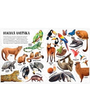 Приключения улитки Элли в мире животных (мягкая обложка) фото книги 3