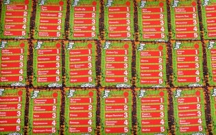 Настольная игра "Крокодил детсколегкий" фото книги 9