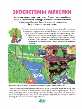 Мексиканская кухня в иллюстрациях фото книги 9