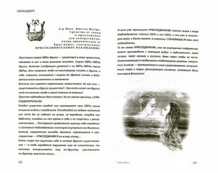 Доктор Мозг. Записки бредпринимателя фото книги 2