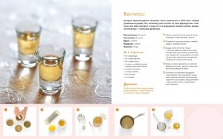 Подарочный набор "Большой подарок для гурмана" (Лимон, Домашние копчености, Домашние напитки, игра) фото книги 10