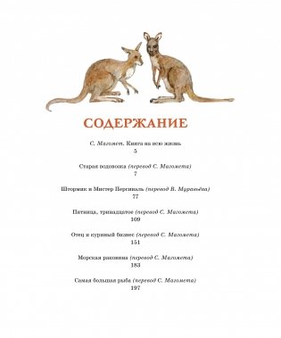 Штормик и мистер Персиваль. Рассказы фото книги 2