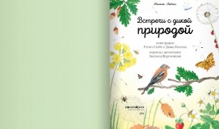 Встреча с дикой природой фото книги 2