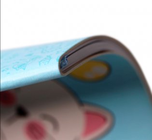 Дневник школьный "Girl collection. Мурлыка", А5, 48 листов фото книги 2