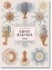 The Art and Science of Ernst Haeckel фото книги маленькое 2