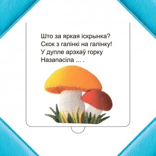 Хто хаваецца ў лесе? фото книги 4