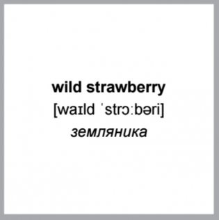 500 самых нужных английских слов и фраз. Флеш-карточки (без русской транскрипции) фото книги 7