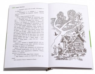 Солнце на дороге фото книги 4