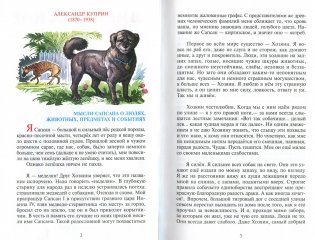 Внеклассное чтение 4 класс серии "Школьная библиотека" фото книги 3