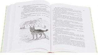 Всё о папе, маме, бабушке и 8 детях фото книги 6