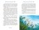 Дети Синего Фламинго фото книги маленькое 6