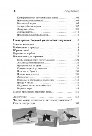 Самые умные птицы на свете. Вороны фото книги 5