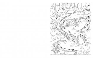 Colour by Numbers Enchanted World фото книги 5