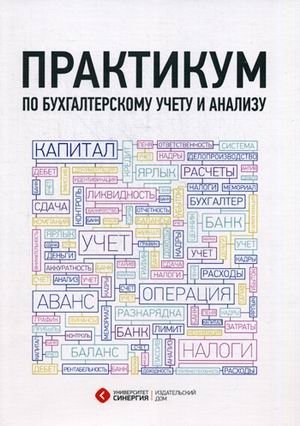 Практикум по бухгалтерскому учету и анализу. Учебно-практическое пособие фото книги