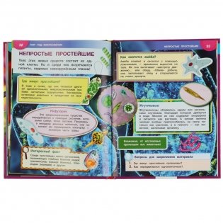 Энциклопедия с развивающими заданиями "Мир под микроскопом", 48 страниц фото книги 5