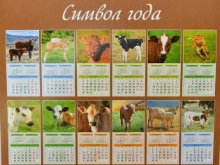 Символ года. Вид 1. Календарь настенный перекидной на скрепке на 2021 год фото книги 3