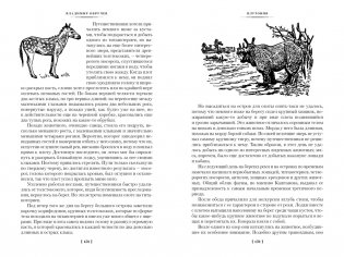 Земля Санникова. Плутония фото книги 8