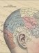 Мозг. История, теории и практики фото книги маленькое 9