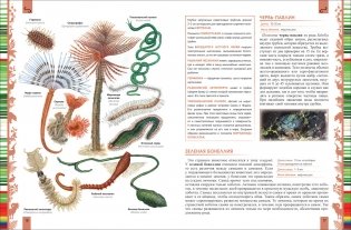 Животные. Большая энциклопедия фото книги 3