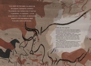 Степи, прерии, пампасы. Один год жизни исчезающего биома фото книги 2