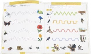 Подготовка руки ребенка к письму на материале лексических тем. 5-7 лет. Рабочая тетрадь. ФГОС фото книги 2