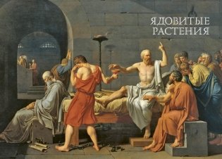 Яды. Секретная сила растений фото книги 7