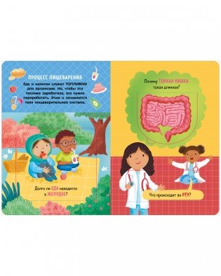 Книжка с окошками. Как устроено тело человека. И другие интересные вопросы фото книги 6