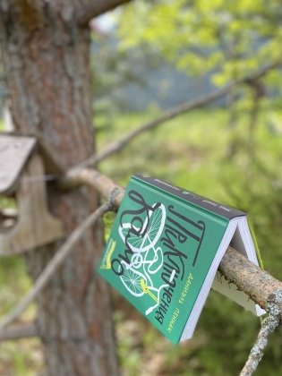 Приключения Камо фото книги 4