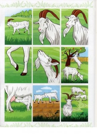 Обучение детей пересказу по опорным картинкам. 5-7 лет. Выпуск 1. ФГОС фото книги 5