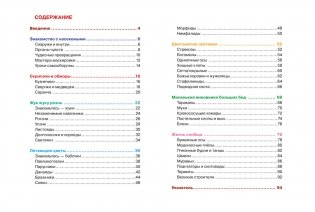 Насекомые фото книги 4