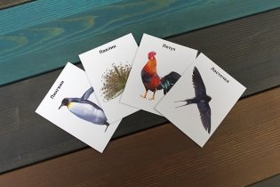 70 развивающих карточек. Набор №2 фото книги 4