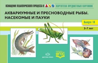 Картотека предметных картинок. Выпуск №10. 3-7 лет. Аквариумные и пресноводные рыбы. Насекомые и пауки. ФГОС фото книги