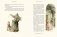 Красная Шапочка и другие сказки фото книги маленькое 4