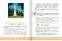 Русский родной язык. Учебное пособие. 4 класс фото книги маленькое 9
