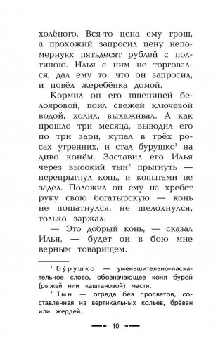 Сказания о богатырях. Предания Руси фото книги 11