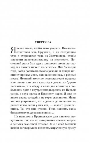 Бруклинские глупости фото книги 6