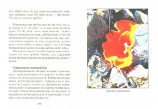 Грибная энциклопедия фото книги 2