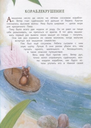 Рассказы и сказки о животных фото книги 6